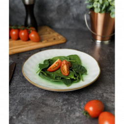 Тарелка d 21 см зеленая фарфор &quot;The Sun Eco&quot; P.L. Proff Cuisine