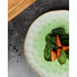 Тарелка d 27 см зеленая фарфор &quot;The Sun Eco&quot; P.L. Proff Cuisine